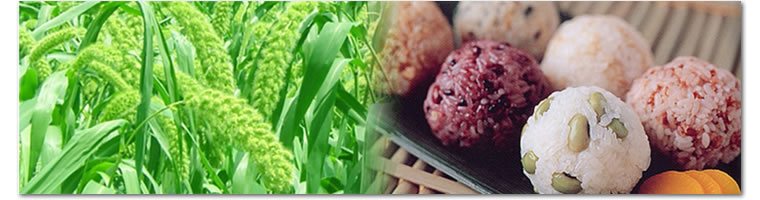 RI�l�b�g�ł��ĂƎG���̔̔��E�������킵�܂��B